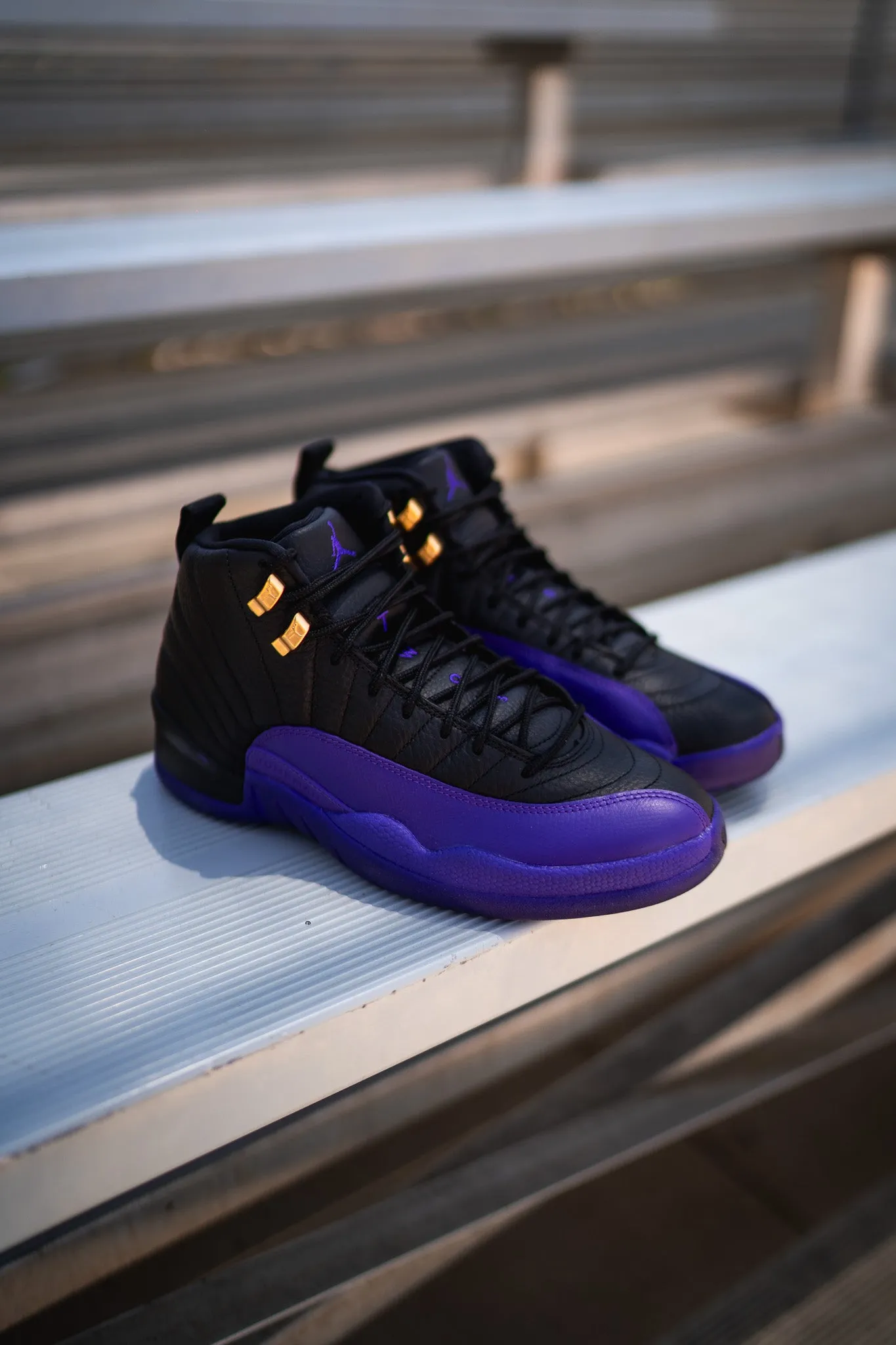 Air Jordan 12 Retro (Field Purple)