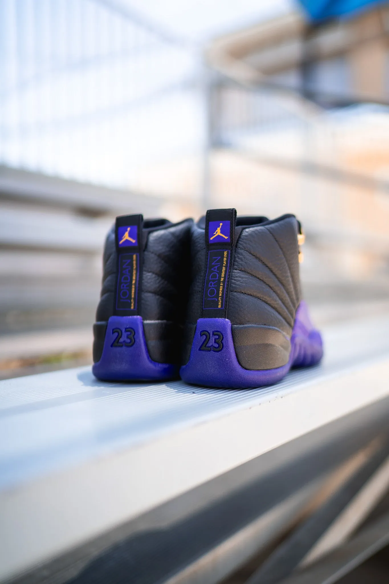 Air Jordan 12 Retro (Field Purple)