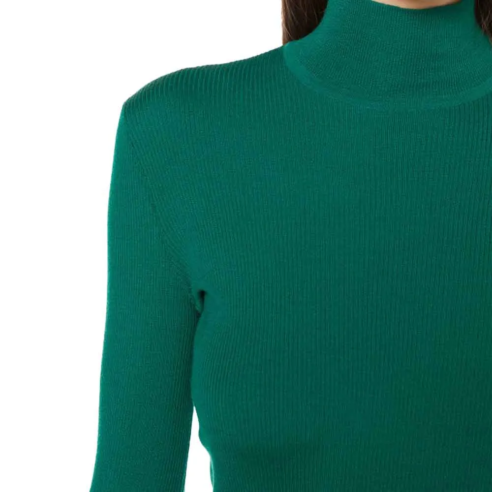 Alberta Ferretti Ribbed Merino Turtleneck Sweater