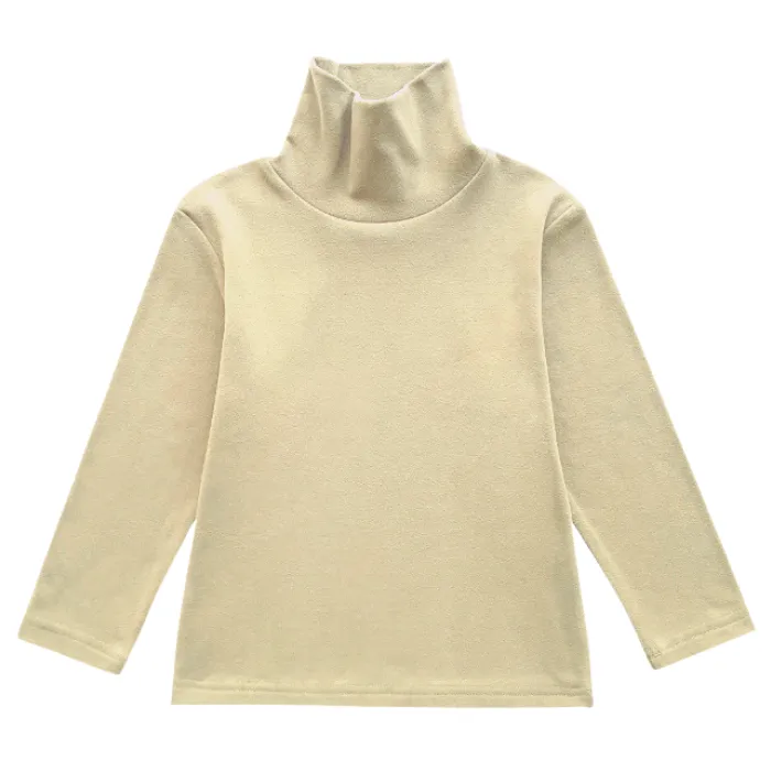 Basix Turtleneck