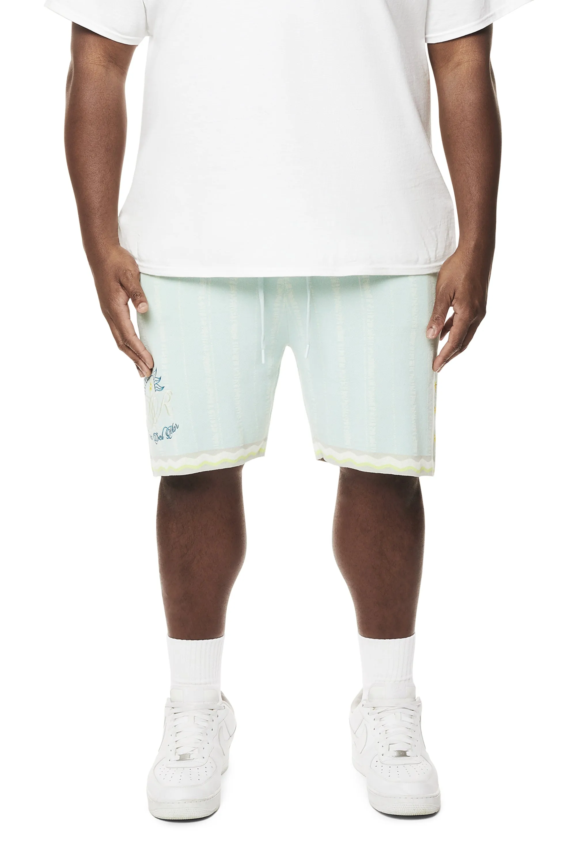 Big and Tall - Jacquard Knit Shorts - Havana