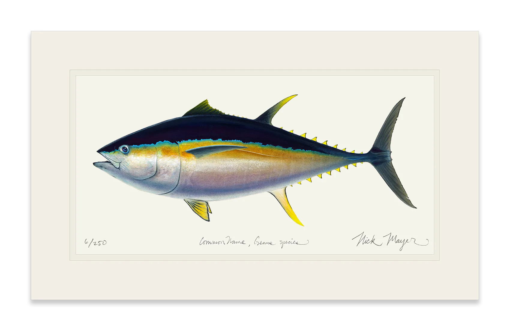 Bigeye Tuna Print