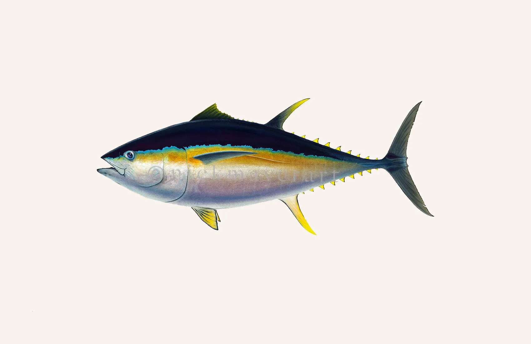 Bigeye Tuna Print