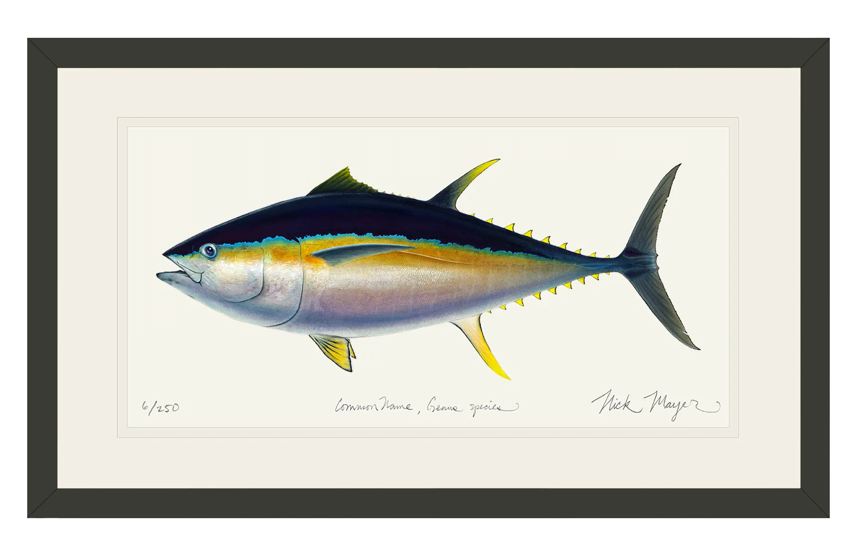 Bigeye Tuna Print