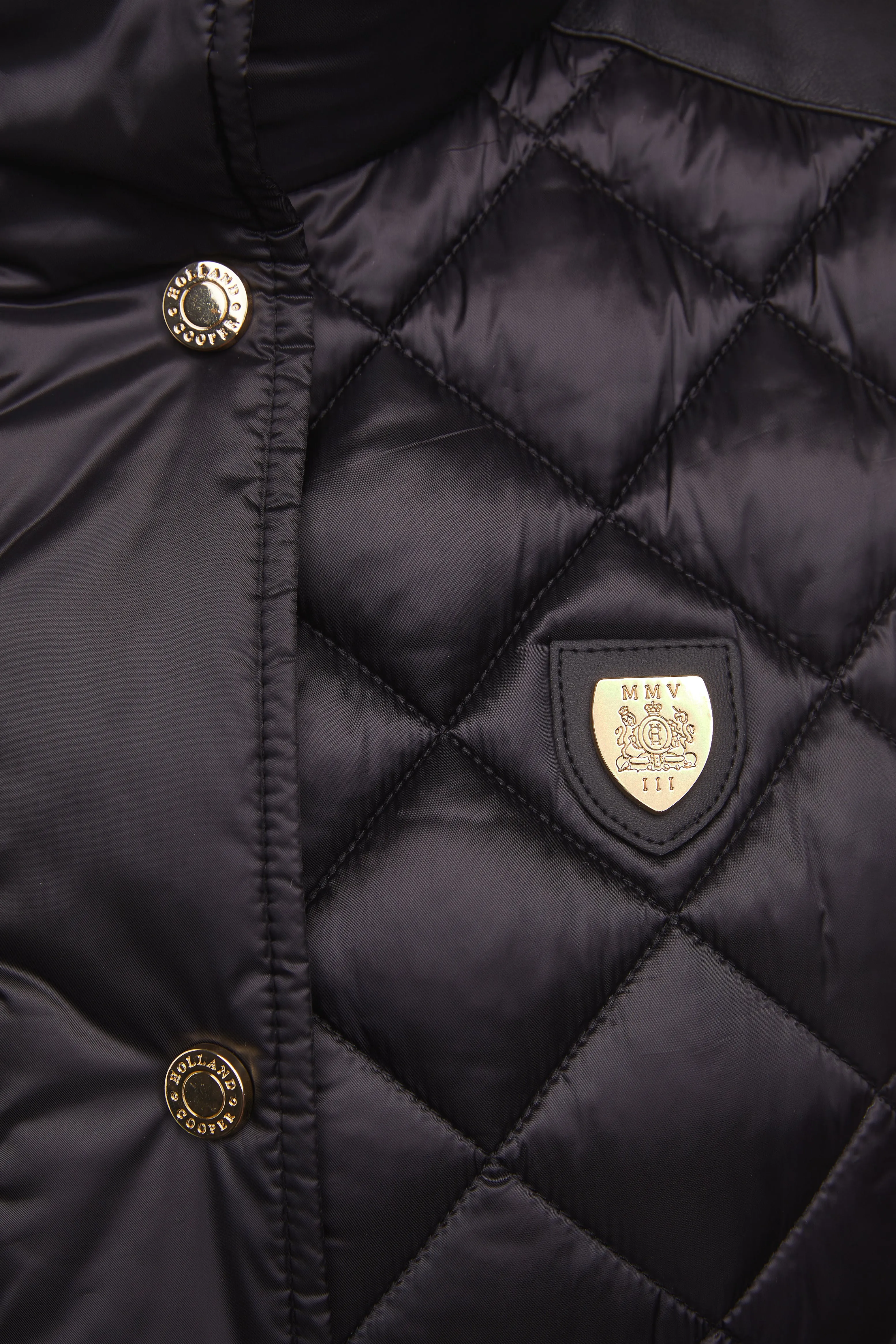 Charlbury Quilted Gilet (Black)