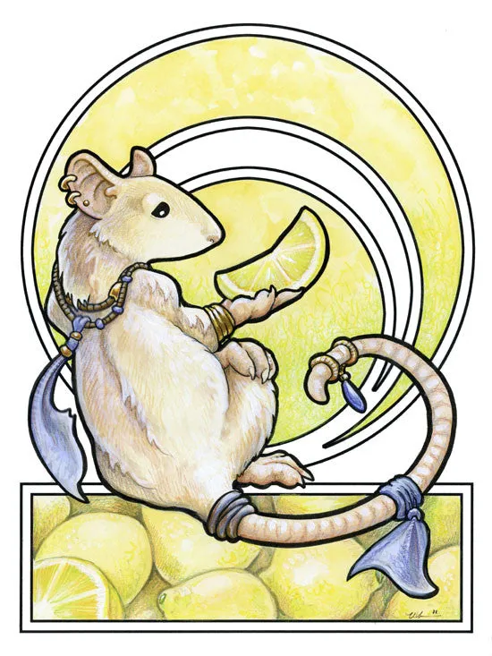 Cool Rodents Prints