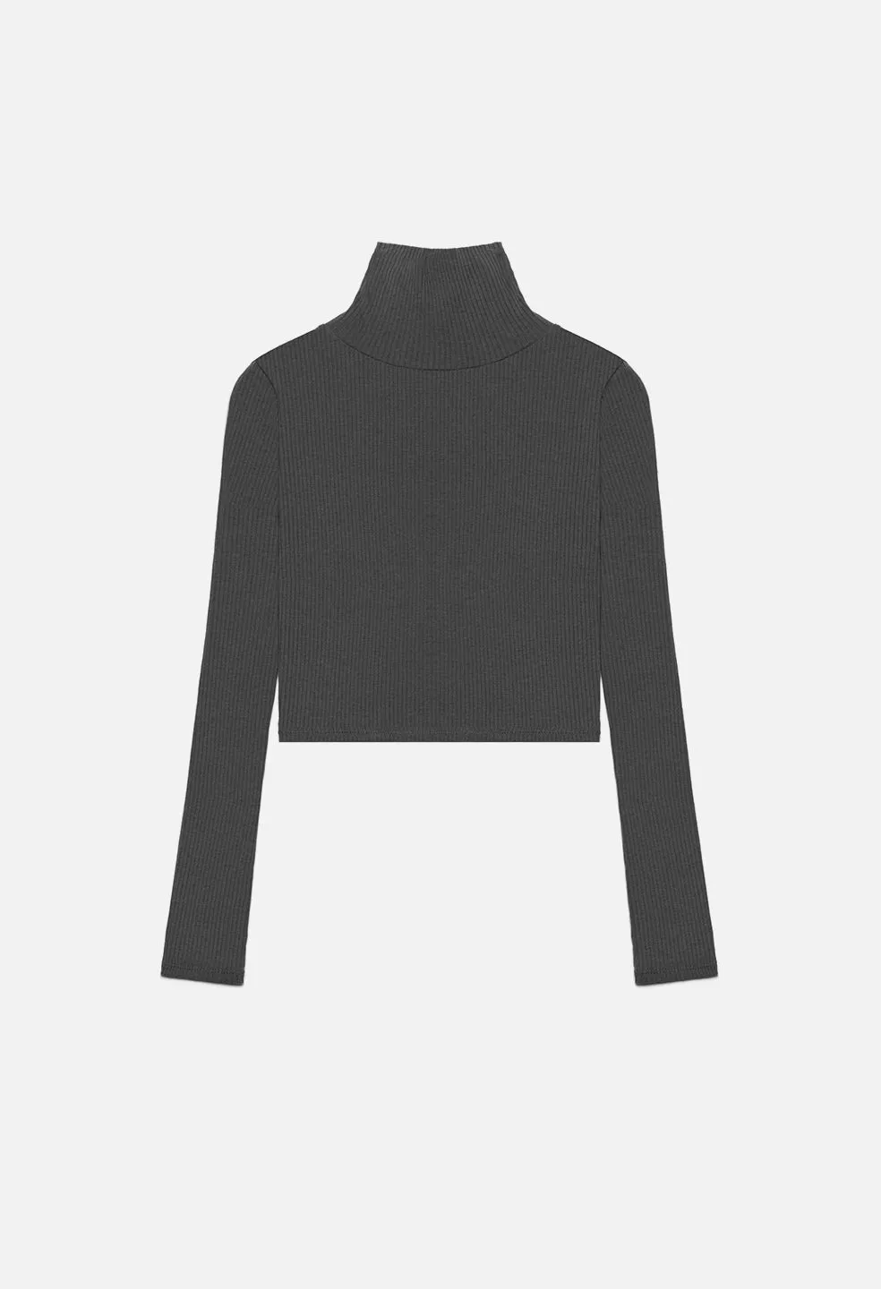 Des Cashmere Rib Turtleneck / Charcoal