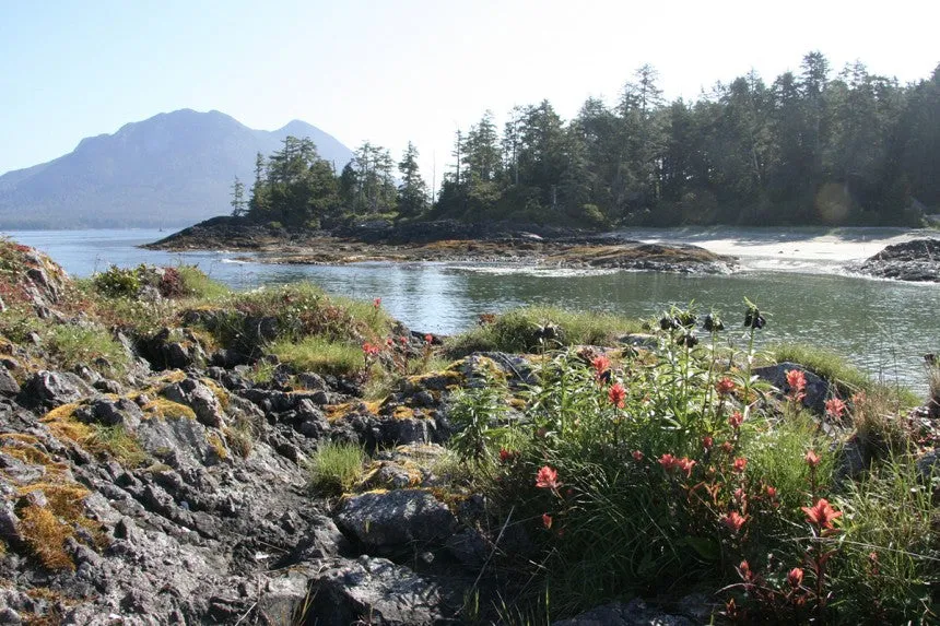 Escape to Clayoquot Sound by John & Bea Dowd