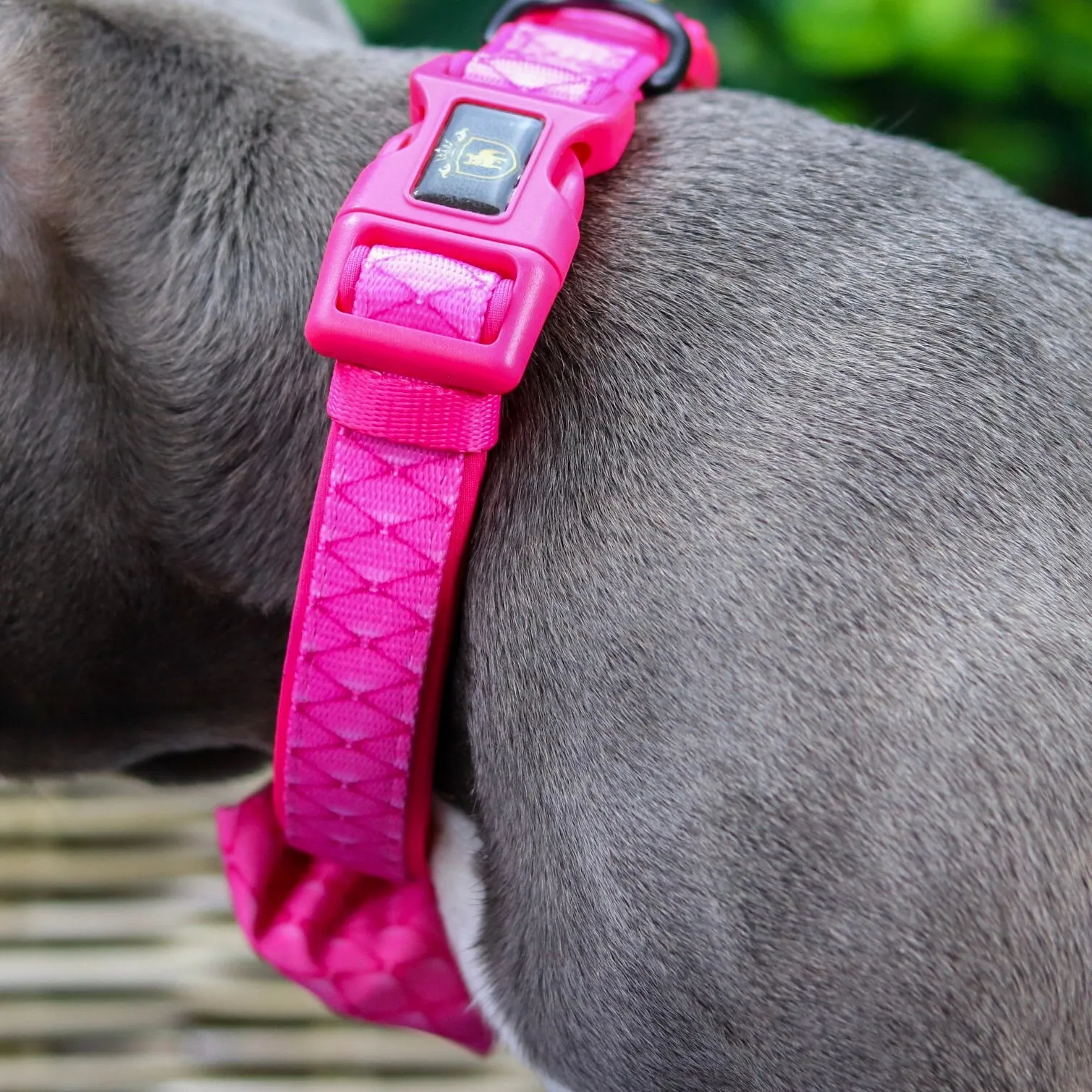 “Fabulous Darling “ Collar With Bow Tie