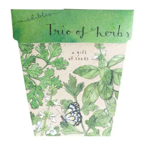 SOW N SOW - TRIO OF HERBS GIFT OF SEEDS