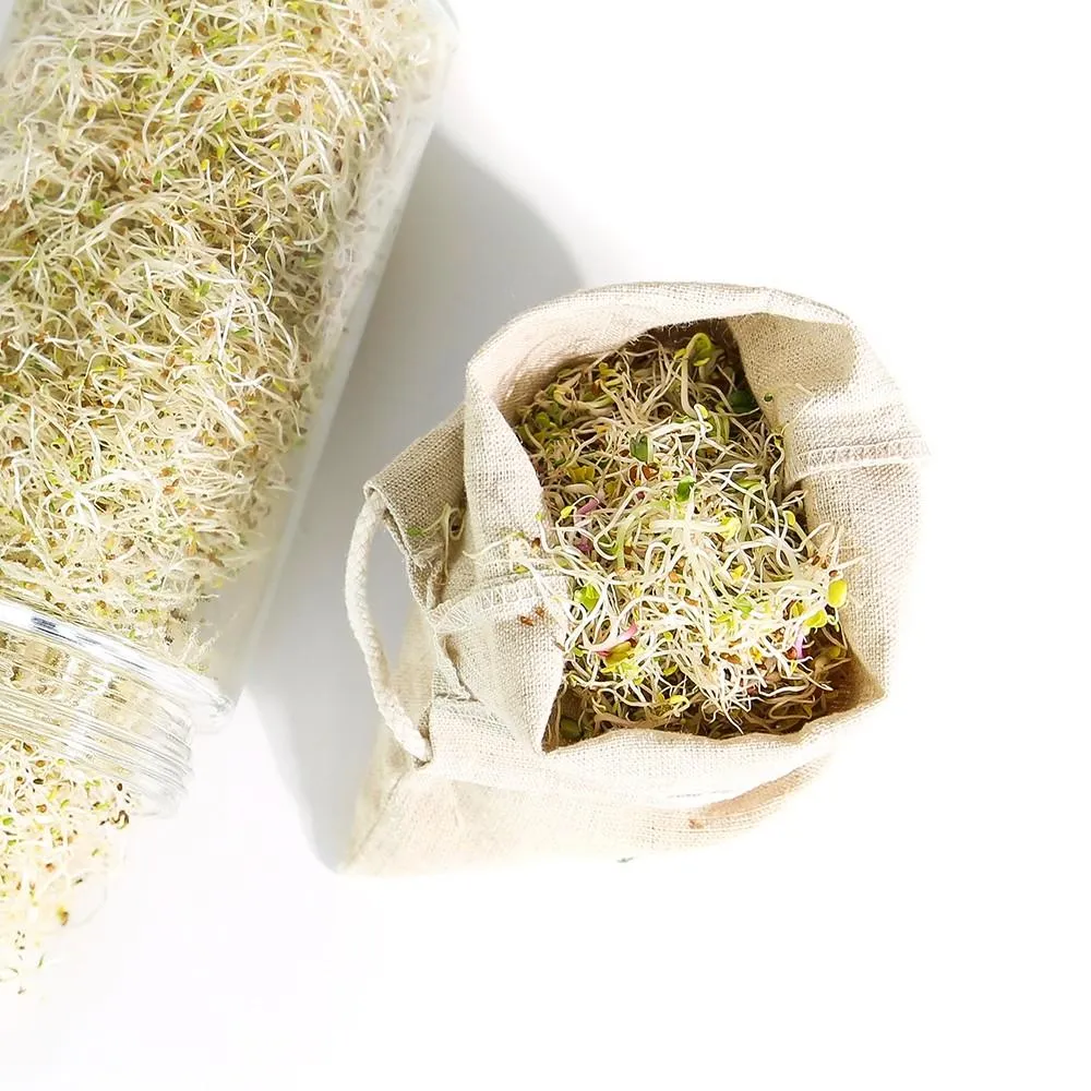 Sproutman Hemp Sprouting Bag