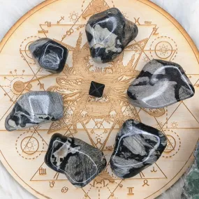 Tumbled and Beautifully Polished Silver Leaf Jasper from South Africa~ Set of 3 Palm stones